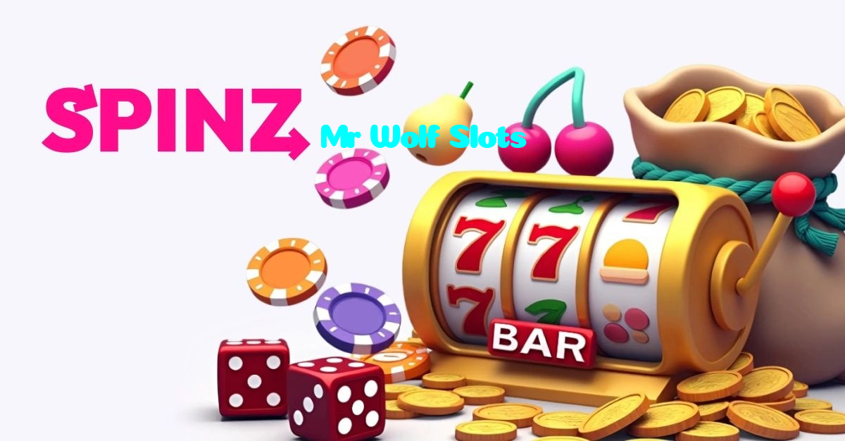 available types of Mr Wolf Slots bet including pre-match live express and system bets
